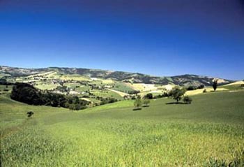 anello dei santi ( viano ) immagini\calendario\20170514_1.jpg